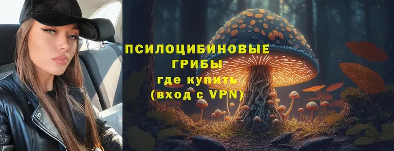 Галлюциногенные грибы Magic Shrooms  Верея 